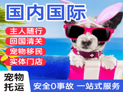 恩施许家坪机场托运国际宠物托运 【国
